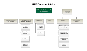 organizational chart financial affairs uab