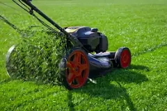 Image result for what the first lawn treatment for spring