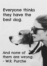 Pin On Inspirational And Motivational Quotes