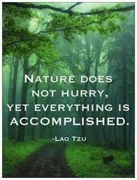 Shop our new eco conscious merch linktr.ee/laotzuquotes. 14 Ambrosia Ideas Ambrosia Inspirational Quotes Sayings