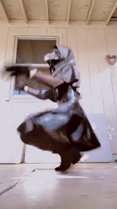 Slimthicccsenpai ✟ plague mami ✟ [tiktok] - BEST XXX TUBE