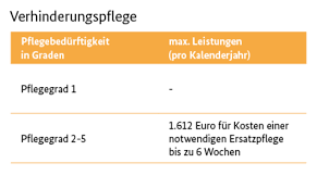 Seine tochter hat in diesem jahr die verhinderungspflege nicht in anspruch. Urlaubsvertretung Verhinderungspflege