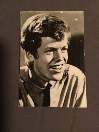 Peter Noone Herman's Hermits