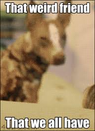 You Just Have To Say That You Re Fine Gif Https Encrypted Tbn0 Gstatic Com Images Q Tbn 3aand9gcqroptf0ibxqfvf9cu3no53tthtpv2dicut7g Usqp Cau