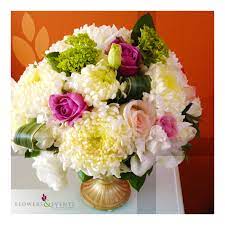 Where else do clubs round up conga lines so that waiters can pour tequila down dancers' throats? Flowers And Events San Jose Del Cabo Los Cabos Mexico