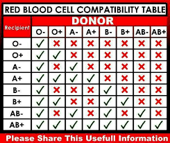 blood compatibility chart nursing lab values nursing