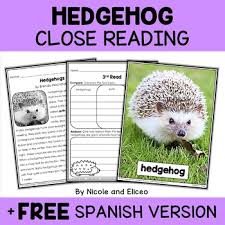 Please find below many ways to say hedgehog in different languages. Hedgehogs Worksheets Teaching Resources Teachers Pay Teachers