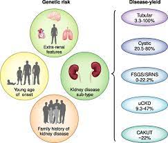 Clinical Genetic Screening In Adult Patients With Kidney Disease American Society Of Nephrology