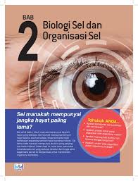 Untuk sel tumbuhan jarang dijumpai silia dan flagela. Kuiz Bab 2 Struktur Dan Fungsi Sel Form 4 Quiz Quizizz