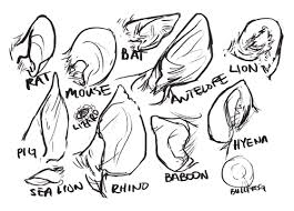 Tumblr Math1ymdrd1qjtpoz Png 500 359 How To Draw Ears Animal Drawings Anime Poses Reference