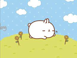 Kumpulan gambar lucu dan unik dengan banyak kategori, gambar animasi, gambar bergerak, dan banyak lagi gambar lucu lainnya yang bisa anda download secara gratis. Cute Wallpaper Laptop Lucu Novocom Top