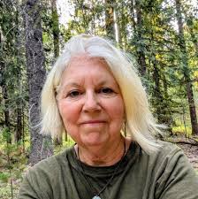 🔥 The Lee Fire is now officially the 5th-largest wildfire in Colorado's  recorded history. For context, the top four are: 1️⃣ Cameron Peak Fire