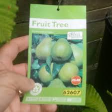 De verse producten worden eerst gewassen en verpakt door de leverancier en daarna getransporteerd naar onze distributiecentra. Aldi Stores Uk On Twitter That Tree Looks Absolutely Pear Fect To Us What S Your Favourite Fresh Fruit Wednesdaythoughts Https T Co So7zyt4don