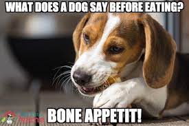 Dog Food Pun Dog Puns Animal Puns Funny Dogs