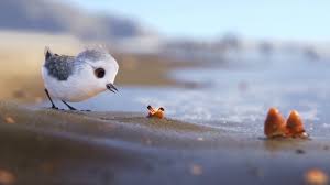 Piper Short Movie Teaching Problem Solving And Learning From Others Pixar Short Movies Piper Pixar Pixar Shorts