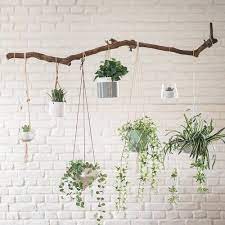 But to complete this brown earth amber is a very leafy decor of hanging plants and pots indoors. 44 Brilliant Diy Project And Craft Hanging Planter Hanging Plants Plant Decor Hanging Plants Indoor
