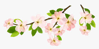 Browse through our collection including seasons, tornadoes, hurricanes, clouds, rain photos and pictures. Spring Branch Png Picture Transparent Background Spring Clipart Png Download Transparent Png Image Pngitem