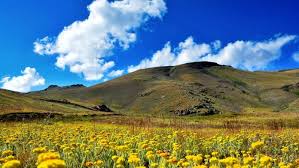 Resultado de imagen para imagenes de naturaleza