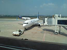 Dan sebagian besar dari pool damri stasiun gambir ini menghubungkan ke lampung. Garuda To Launch Application For Chartering Leasing Aircraft Asianewsnetwork Eleven Media Group Co Ltd