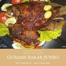 Kemudian bakar ikan dengan arang yang panas sembari dioleskan menggunakan bahan olesan. Resep Ikan Bakar Arang Diah Didi S Kitchen Ikan Bakar Praktis Bumbu Kecap Inilah Rahasia Bumbu Ikan Bakar Dan Petunjuk Lengkap Resep Masakan Ikan Mas Bakar Komplit Dengan Sambal Kecap Trendingnewss12
