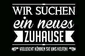 15.06.2020 sachsen, leipzig kreisfreie stadt, stadtlohn. Mietwohnung In Stadtlohn Nordrhein Westfalen Ebay Kleinanzeigen