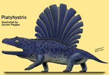 Platyhystrix