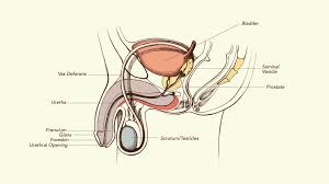 Check spelling or type a new query. Male To Female Gender Reassignment Surgery Male To Female Surgery Teen Vogue