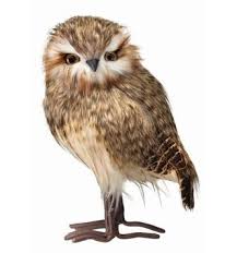 Wisely decorate with adorable owl décor. Amazing Christmas Decor Owls The Last Straw The Last Straw