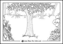 We have collected 40+ tree of life coloring page images of various designs for you to color. Adam And Eve Colouring Pages Www Free For Kids Com