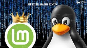 Hệ điều hành là gì? Các hệ điều hành phổ biến trên Desktop và Mobile