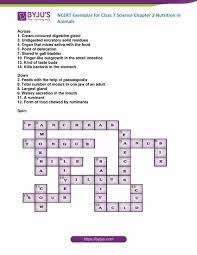 Email if answer problem or you think there is an error? Ncert Exemplar For Class 7 Science Chapter 2 Nutrition In Animals