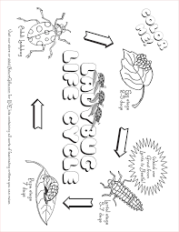 Free Ladybug Life Cycle Coloring Page Ladybug Life Cycle Plant Life Cycle Life Cycles