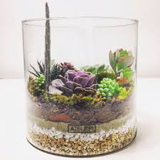 Terrarium Modelle Und Ideen Fur Den Mini Garten 40 In 2020 Mini Garten Sukkulententerrarium Kostlichkeiten Im Glas