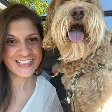 Best Doggy Day Care in Kent, WA