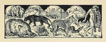 It's like the trivia that plays before the movie starts at the theater, but waaaaaaay longer. Jungle Book Trivia Learn Ten Fun Facts At Comingsoon Net