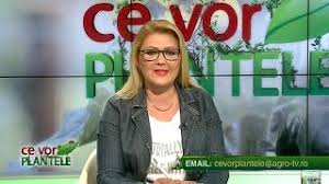 Check spelling or type a new query. Ce Vor Plantele Cristina Ghibu 2019 07 24 Partea1
