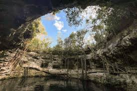 Image result for Galopina