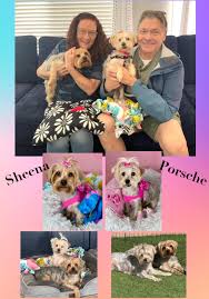 Thank you, Gayle Davis, for the lovely wishes and generous donation!