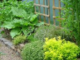 So Bepflanzen Sie Schmale Beete Effektvoll Garten Bepflanzen Schmaler Garten Vorgarten