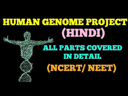 Human Genome Project Hindi Easy Way Youtube