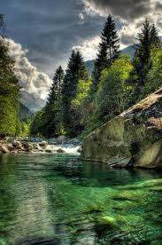 Panoramio Photo Of The River Crossing Magic Wood Zwitserland Zurich Natuur