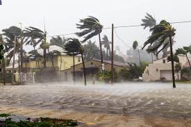 Fundación de la naturaleza y el hombre. Alivio De Desastres Para Victimas De Huracanes Consolidated Credit