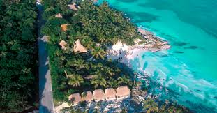 22,662 likes · 47 talking about this. Se Cae Montaje De Palazuelos Tras 20 Meses Dejan Libre A Ex Empleada Que Denuncio Contaminacion En Hotel Del Actor En Tulum Noticaribe