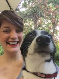 Black border collie rat terrier mix. Personal Treyldt