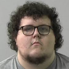 Rapist jailed for historic sexual abuse of child who he 'enticed' with  computer games