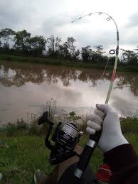 We did not find results for: Tips Mancing Ikan Di Air Keruh Umpan Mancing Mania