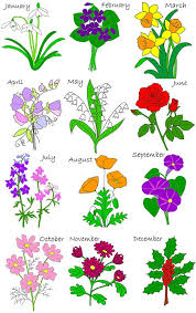 Windmill Farm Snowdrops Blooming January Birthday Flower Birth Month Flowers Birth Flower Tattoos Birth Flowers