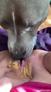 Dog licking.pussy