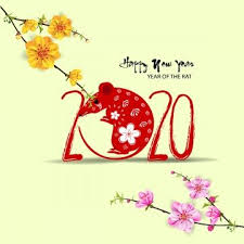 frohes neues jahr 2020 chinese new year greeting happy lunar new year lunar new year 2020 pinterest