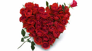 Its size is 3.28 mb and you can easily and free download it from this link: 52 Red Rose Heart